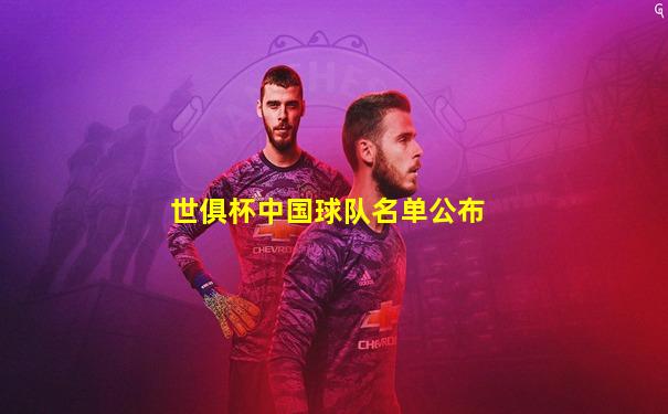 世俱杯中国球队名单公布