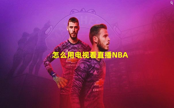怎么用电视看直播NBA