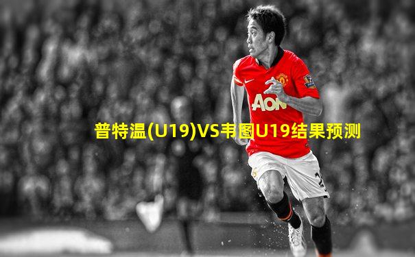 普特温(U19)VS韦图U19结果预测