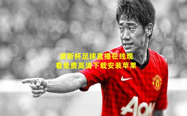 波斯杯足球直播在线观看免费高清下载安装苹果