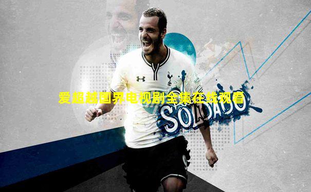 爱超越国界电视剧全集在线观看