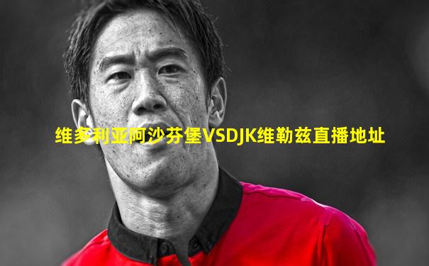 维多利亚阿沙芬堡VSDJK维勒兹直播地址